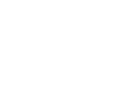 icon-ecommerce