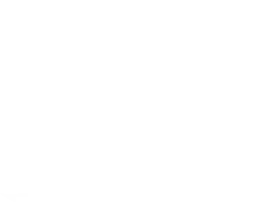 icon-social network